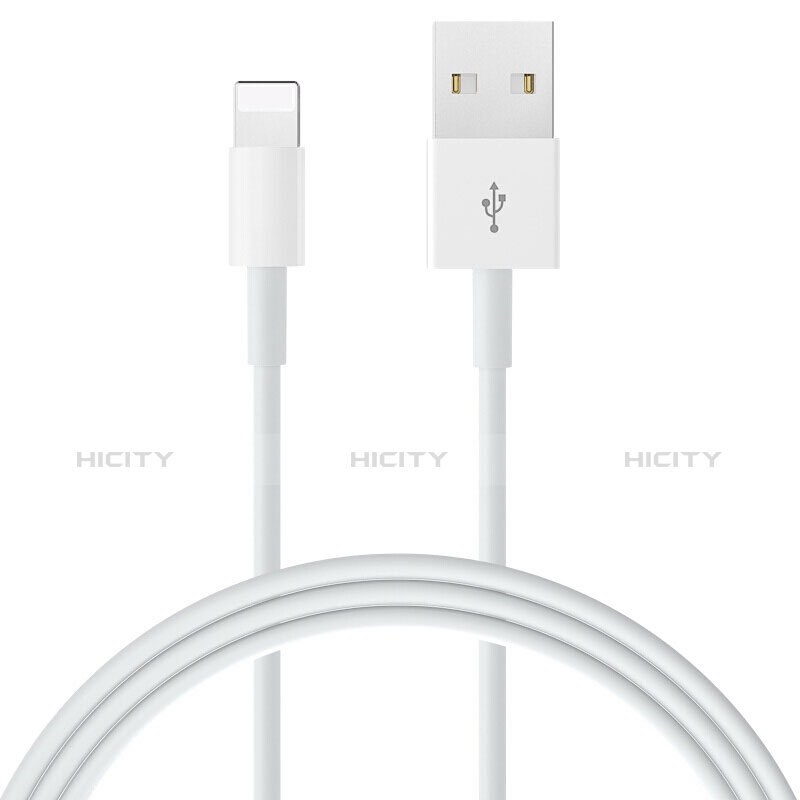 Chargeur Cable Data Synchro Cable L09 pour Apple iPhone X Blanc Plus