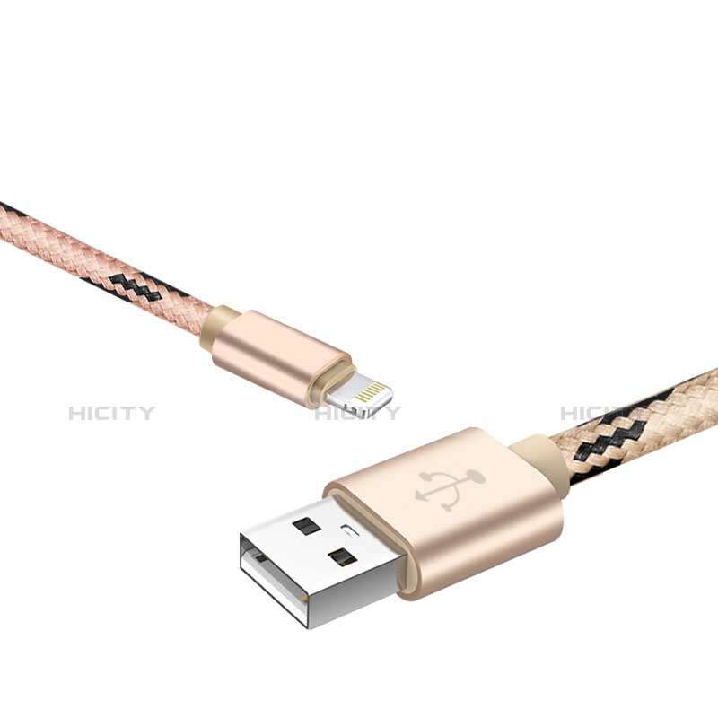 Chargeur Cable Data Synchro Cable L10 pour Apple iPad Pro 12.9 (2017) Or Plus