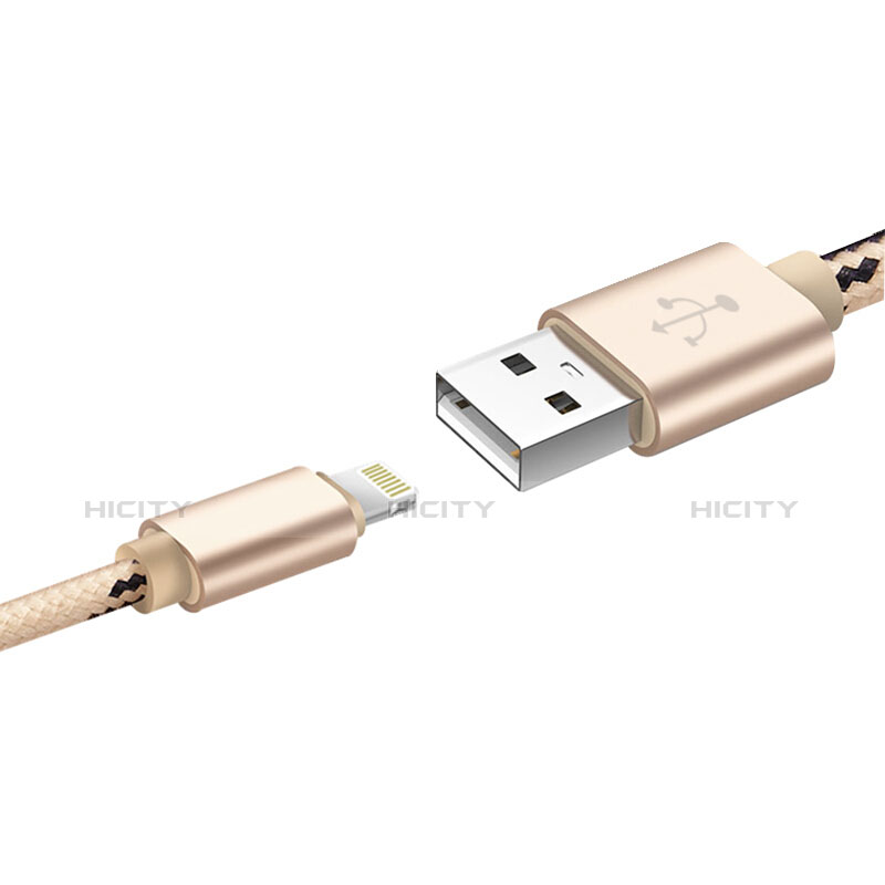 Chargeur Cable Data Synchro Cable L10 pour Apple iPad Pro 12.9 (2017) Or Plus