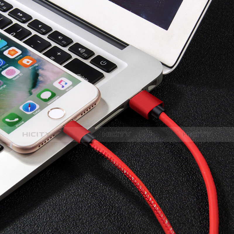 Chargeur Cable Data Synchro Cable L11 pour Apple iPhone 11 Rouge Plus
