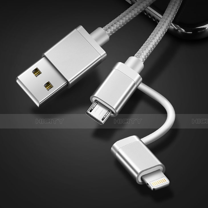 Chargeur Lightning Cable Data Synchro Cable Android Micro USB C01 pour Apple iPhone SE3 (2022) Argent Plus