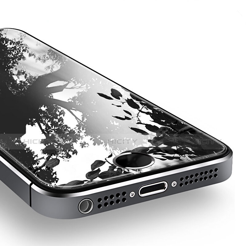 Film Verre Trempe Protecteur d'Ecran T02 pour Apple iPhone SE Clair Plus
